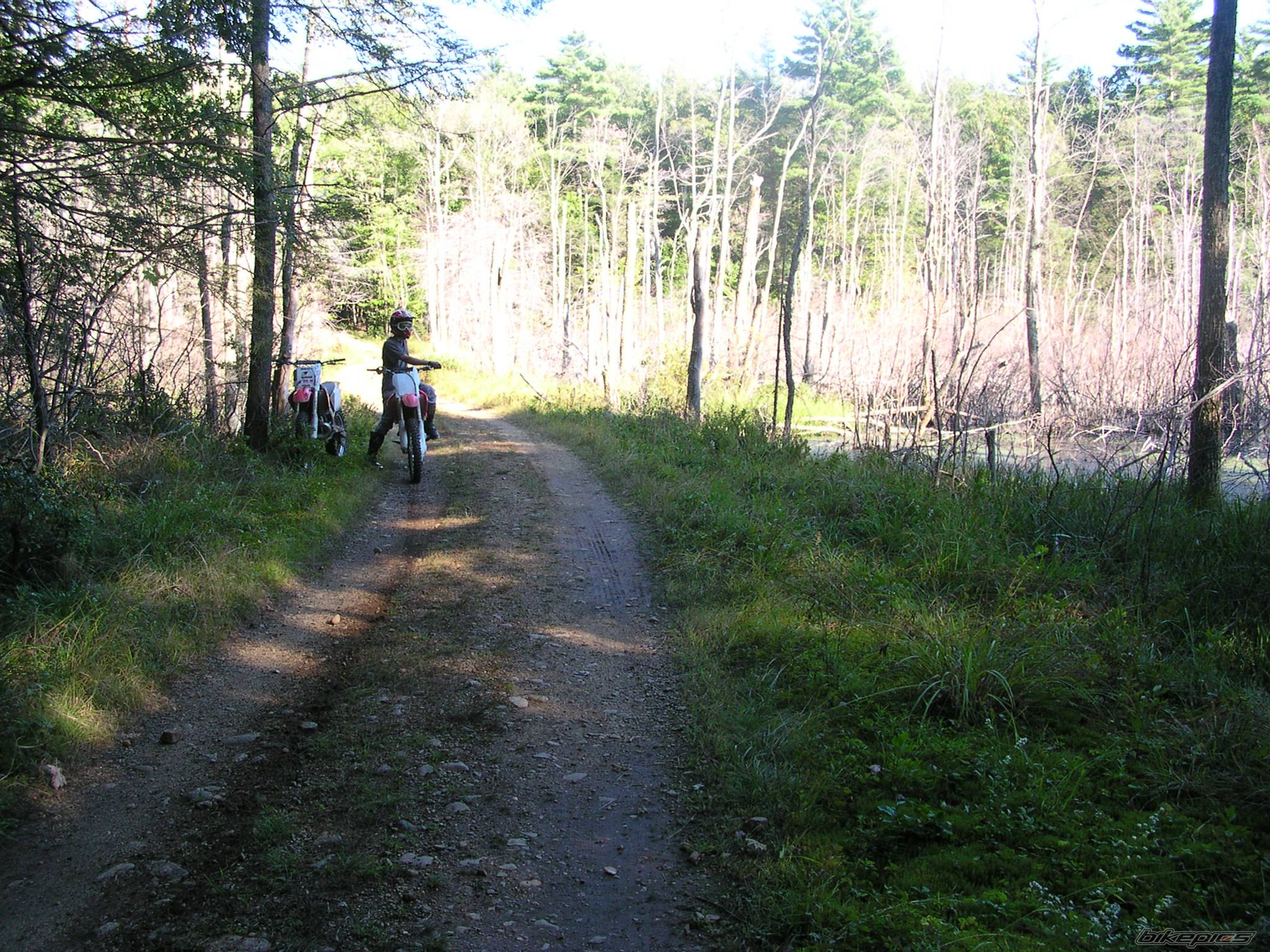 Bike Photo 290623