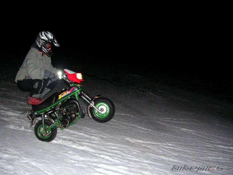 Photo 290641