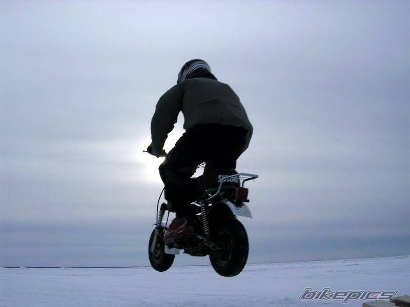 Photo 290643