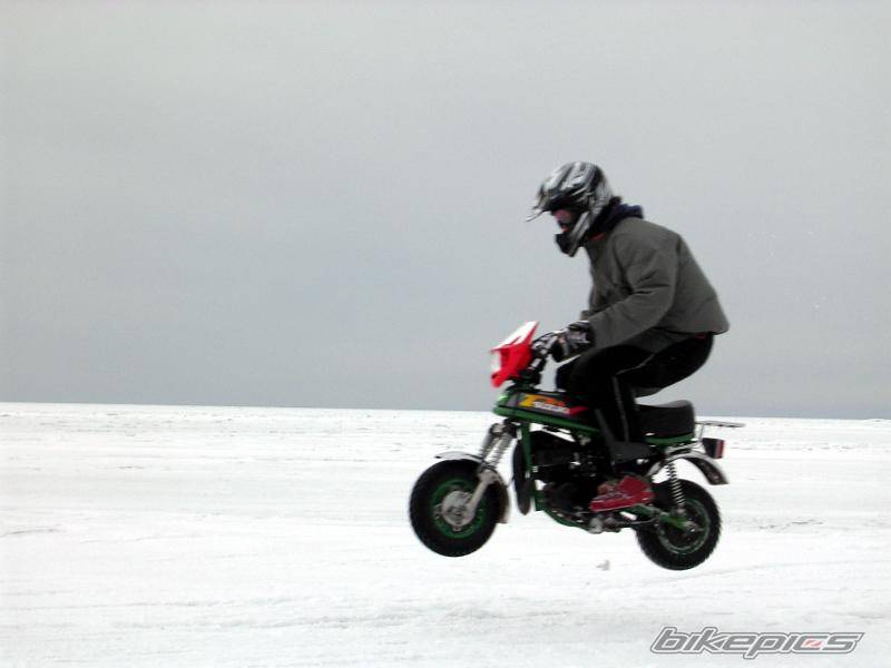 Photo 290644