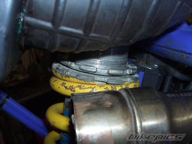 Photo 290667
