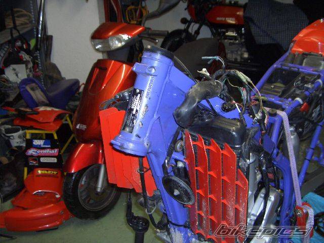 Photo 290672
