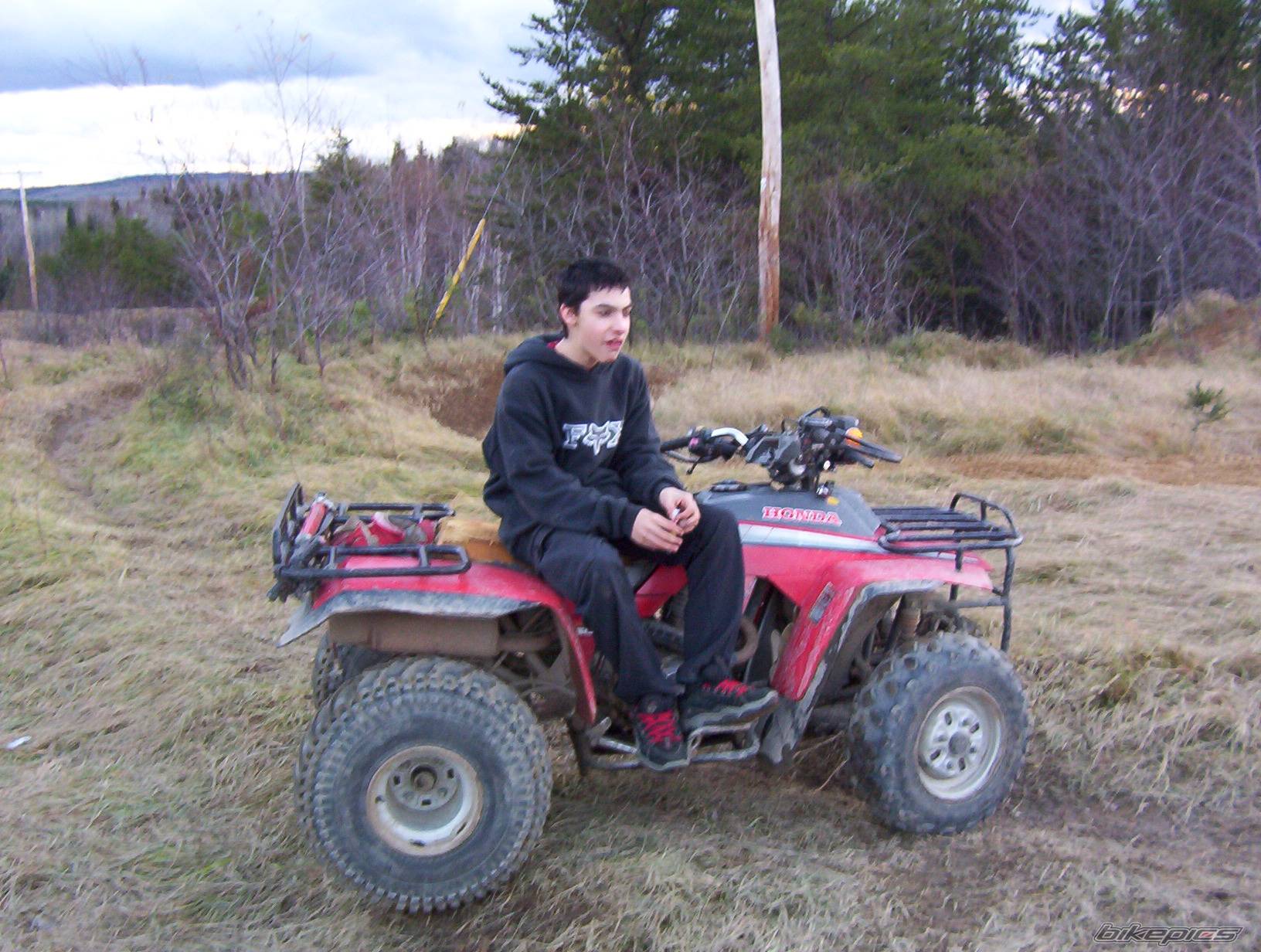 Photo 290673
