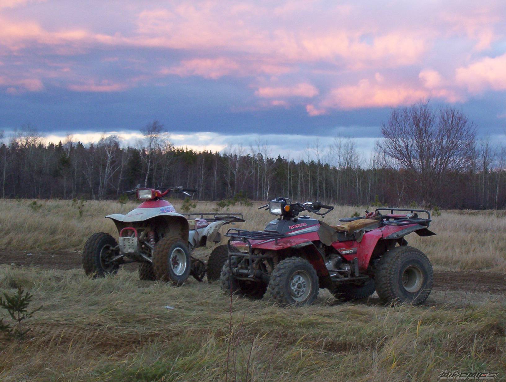 Photo 290676