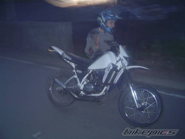 Photo 290833