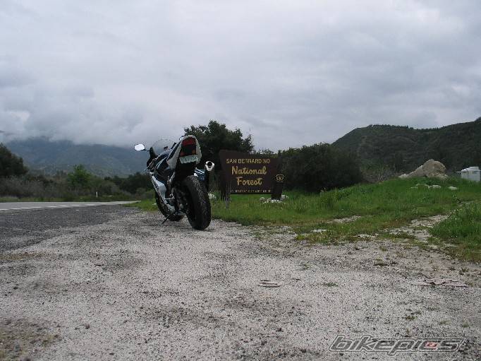 Photo 290862