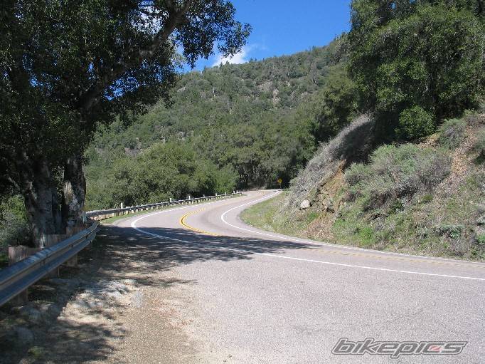 Photo 290874