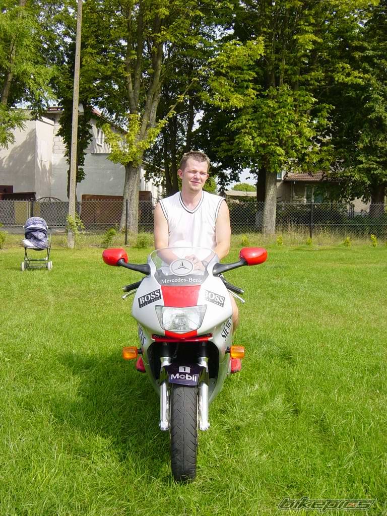 Photo 290882