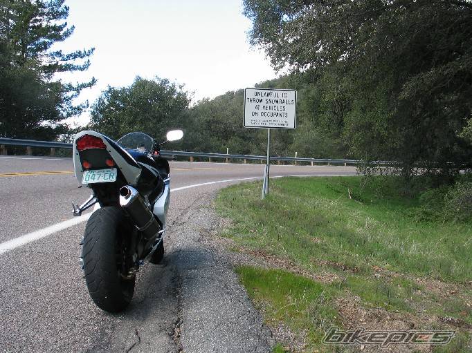 Photo 290886