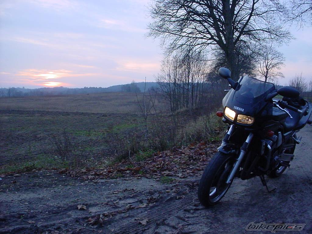 Bike Photo 290928