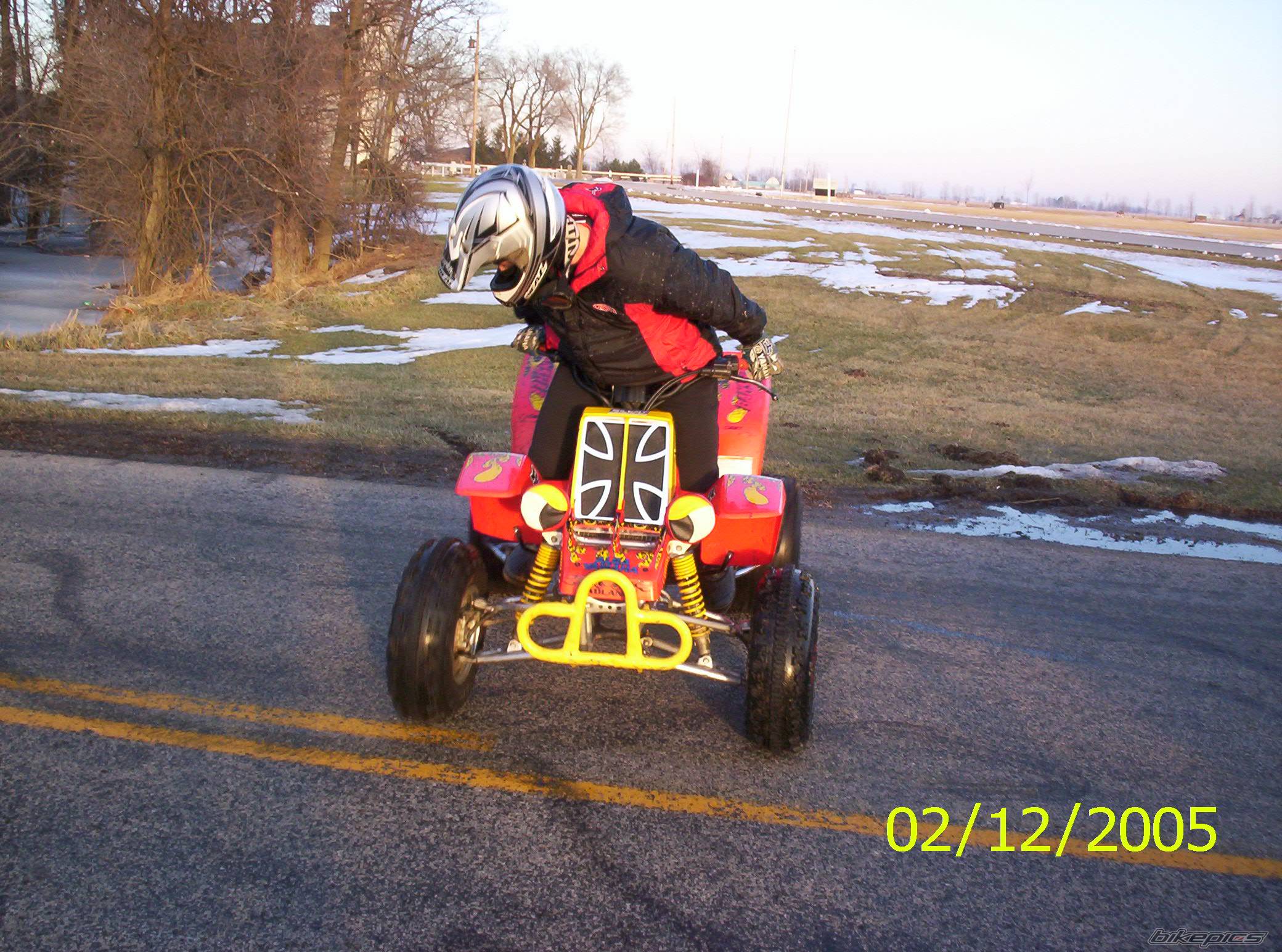 Photo 290941