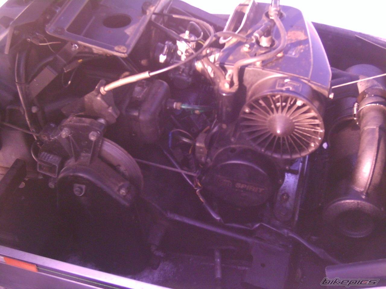 Photo 290965