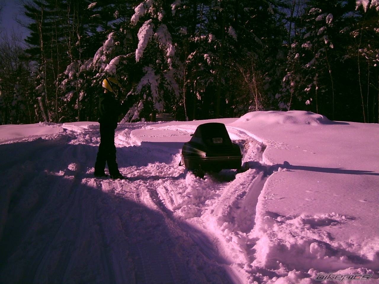 Photo 290969