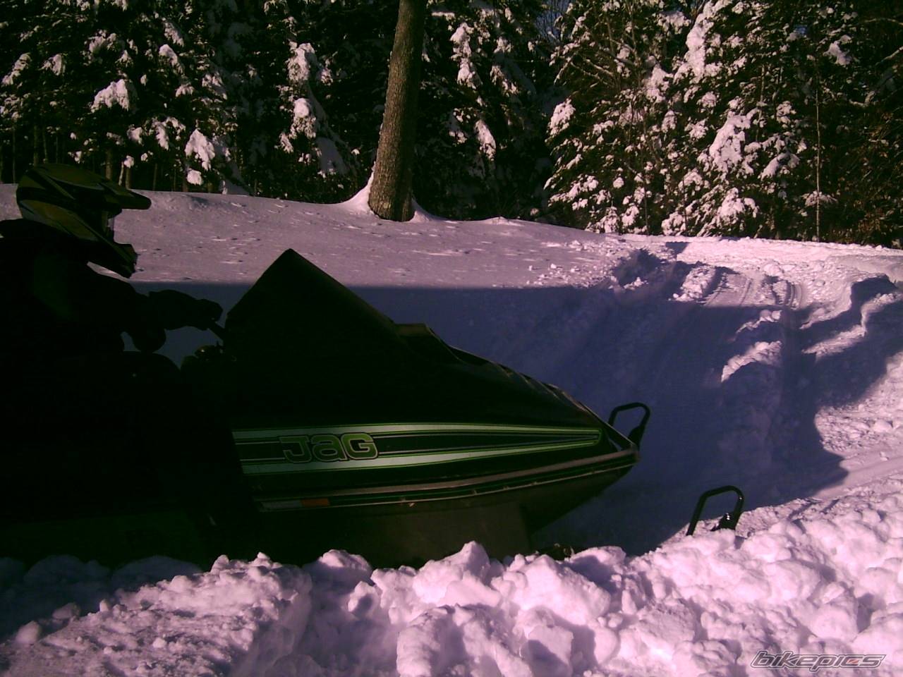 Photo 290973
