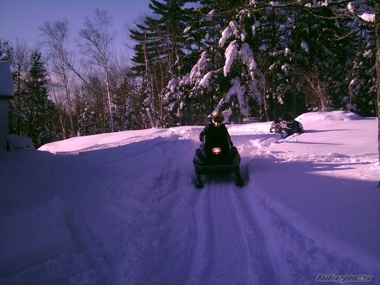Photo 290977