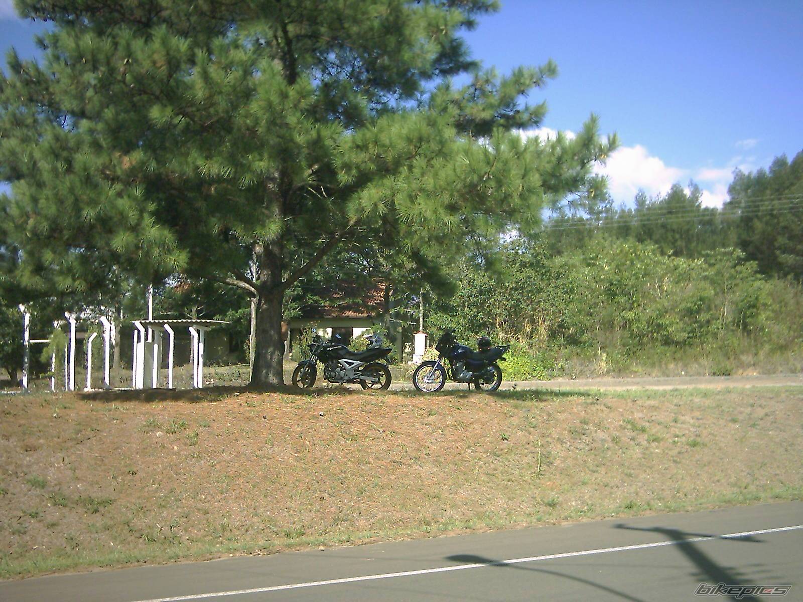 Bike Photo 291095