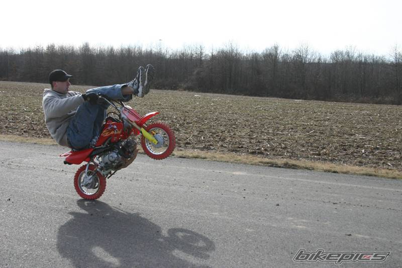 Bike Photo 291175