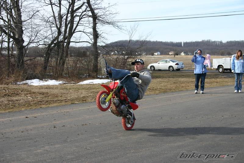 Photo 291176