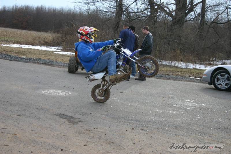 Photo 291186