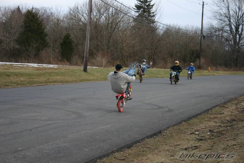 Photo 291187