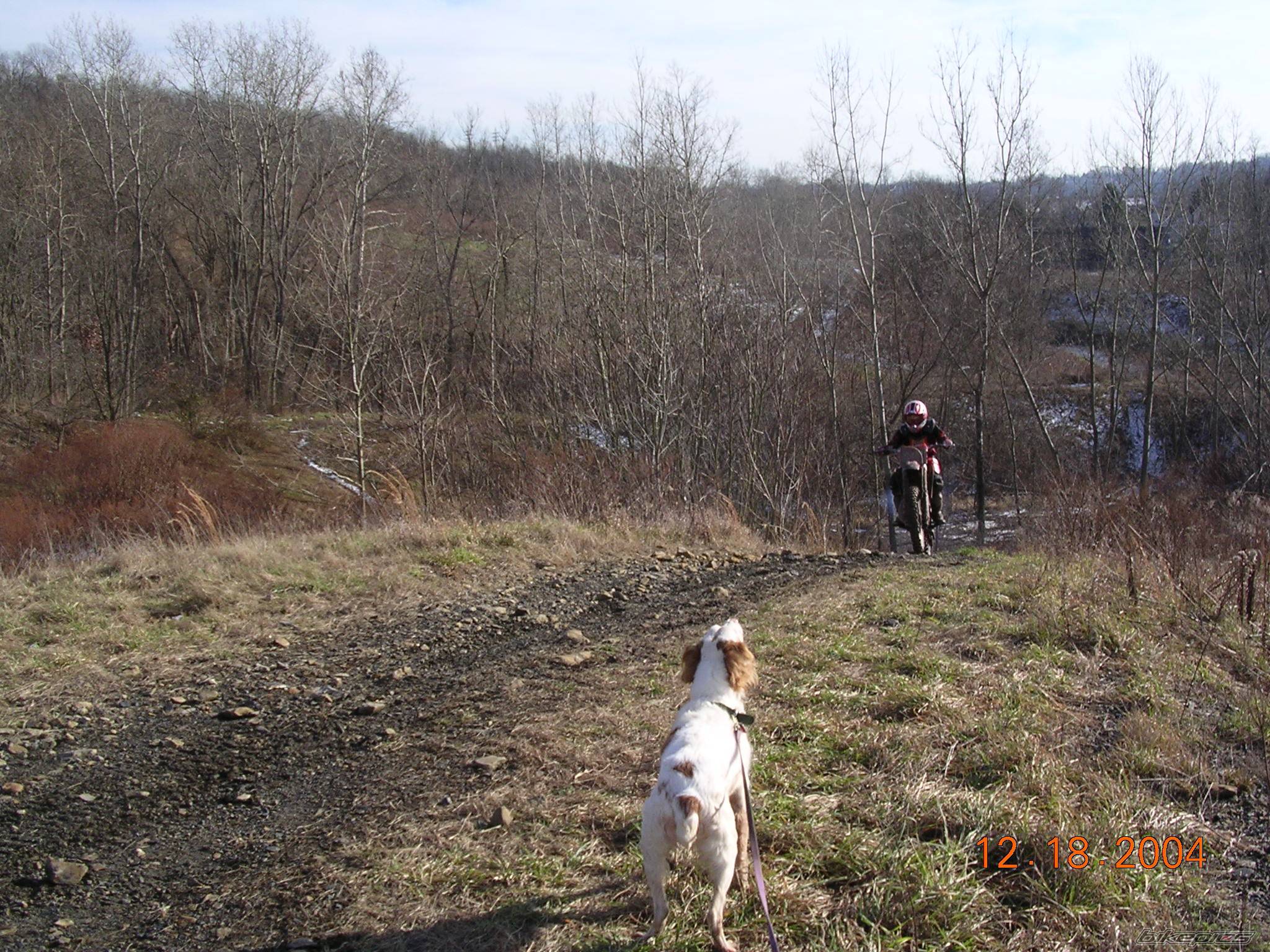 Photo 291232