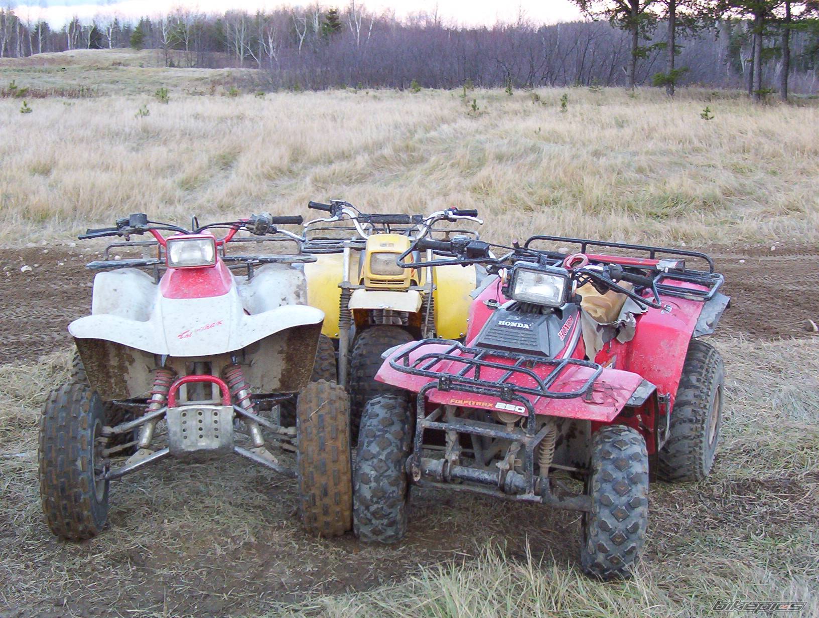 Photo 291243