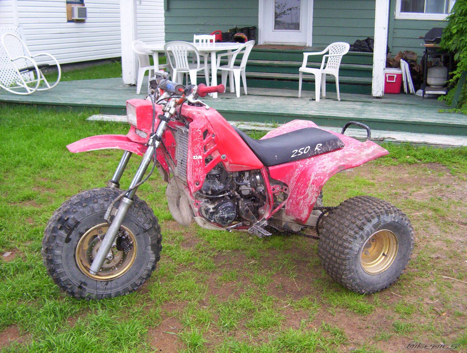 Bike Photo 291251