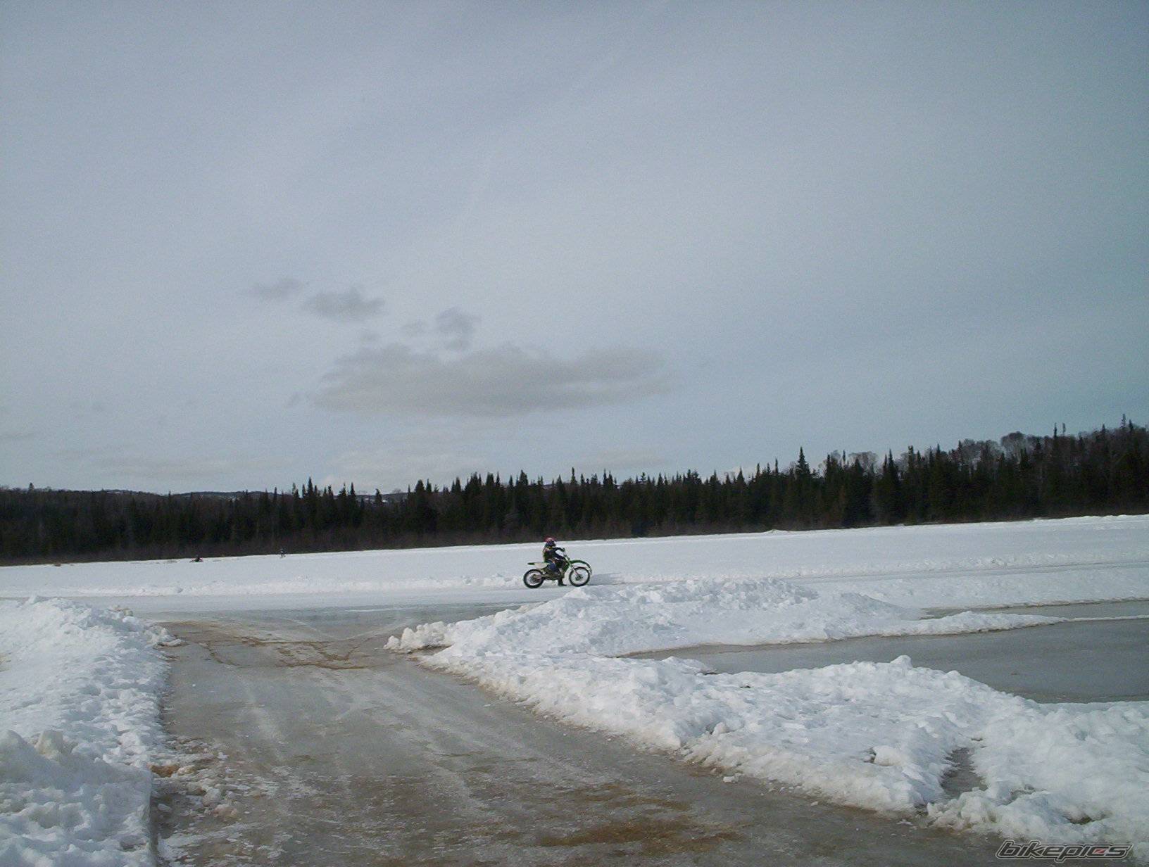 Photo 291259