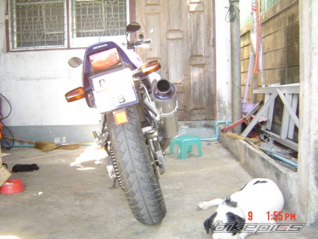 Photo 291314