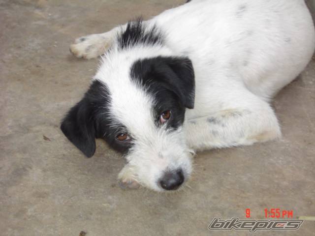Photo 291315