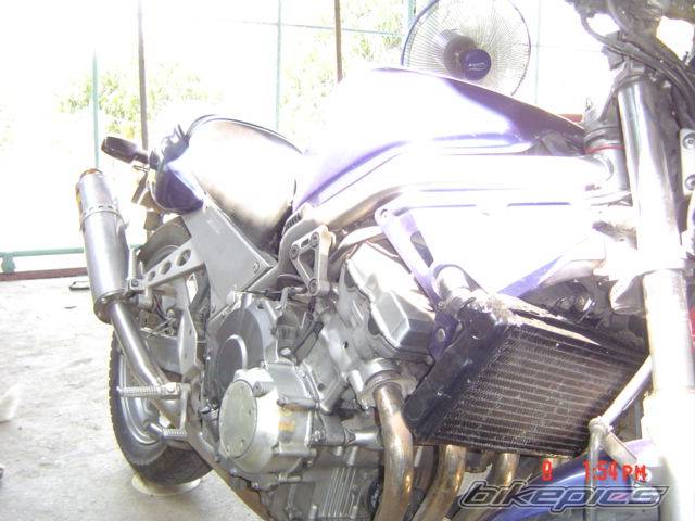 Photo 291316