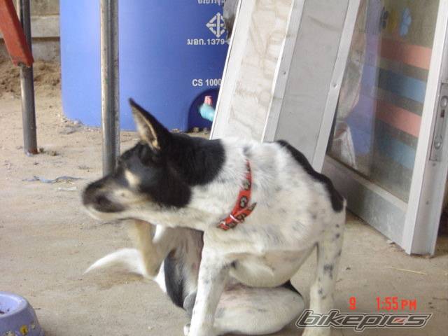 Photo 291317