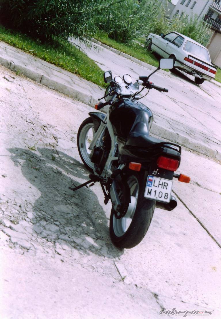 Photo 291406
