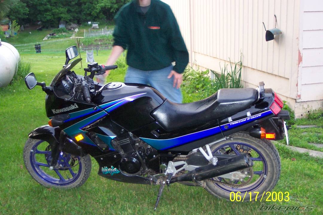 Photo 291412