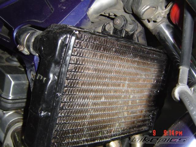Photo 291540