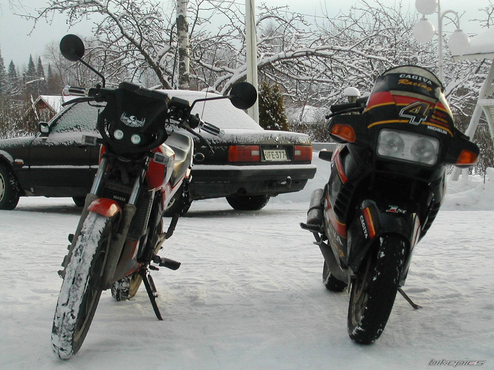 Photo 291571