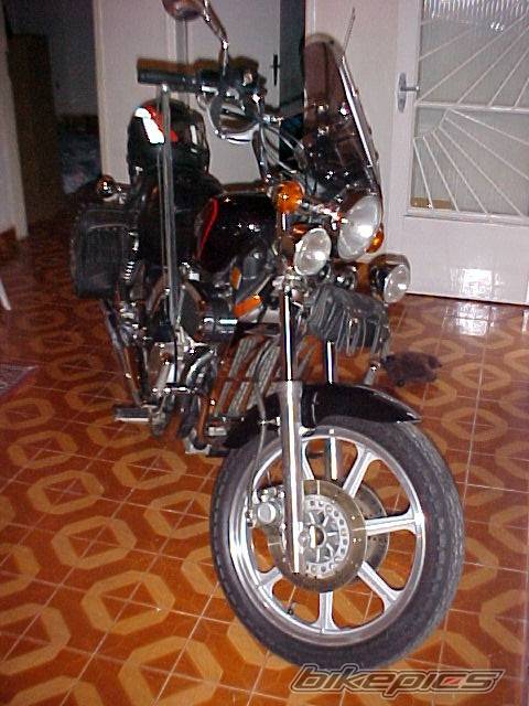 Photo 291656
