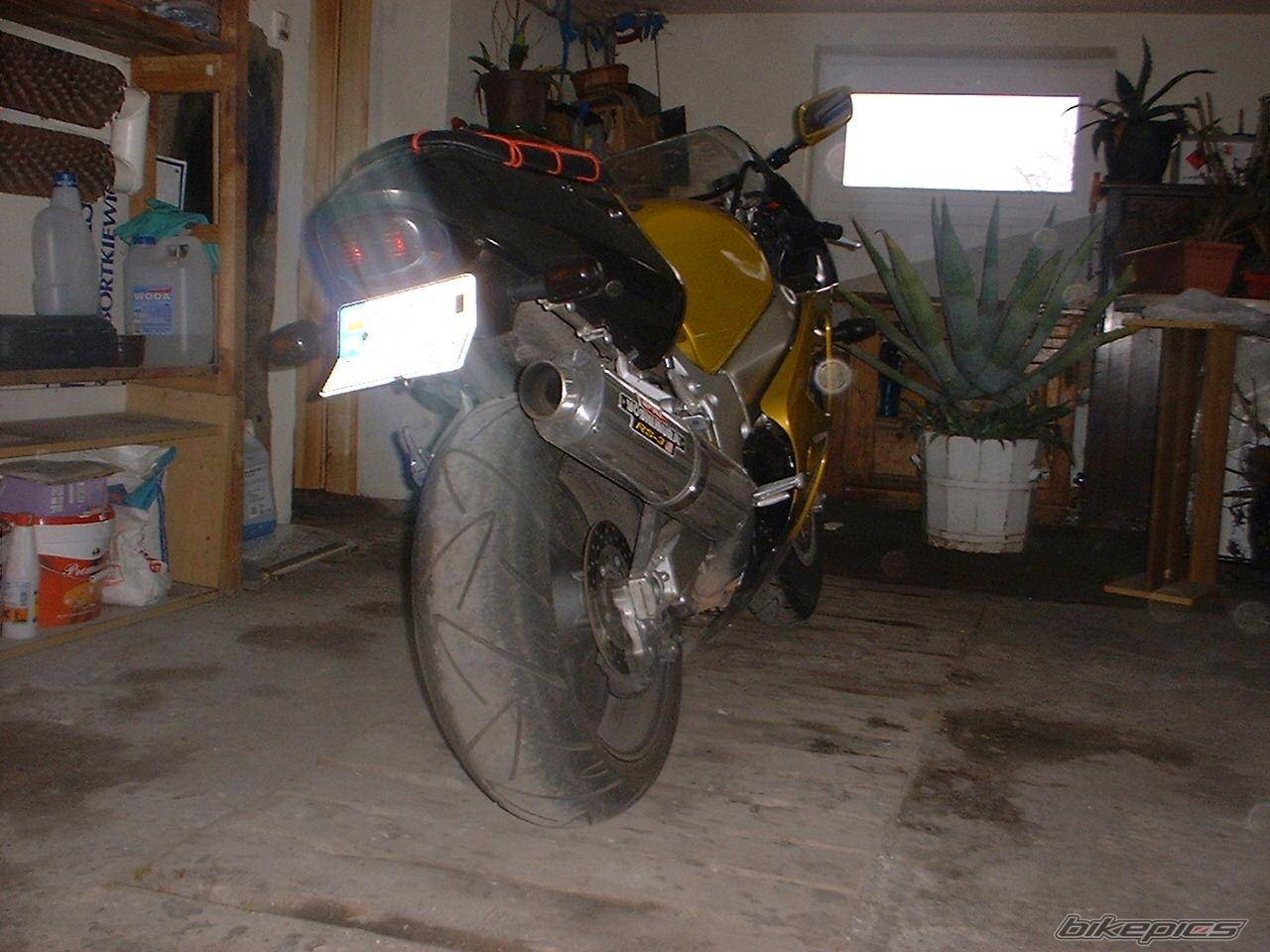Photo 291658