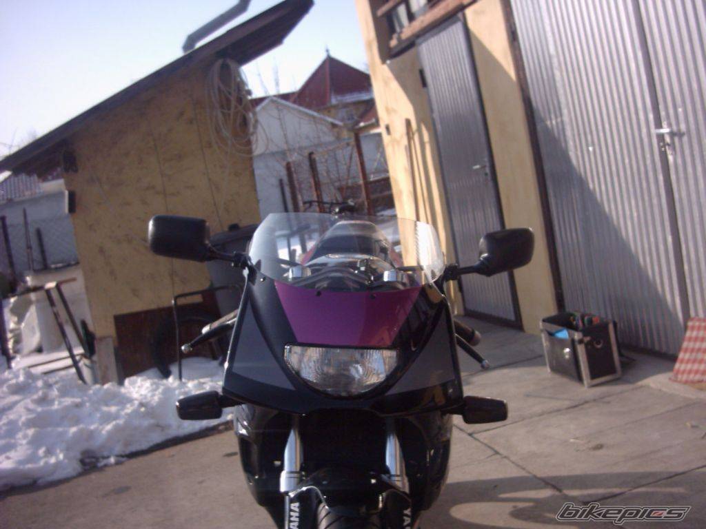 Photo 291662