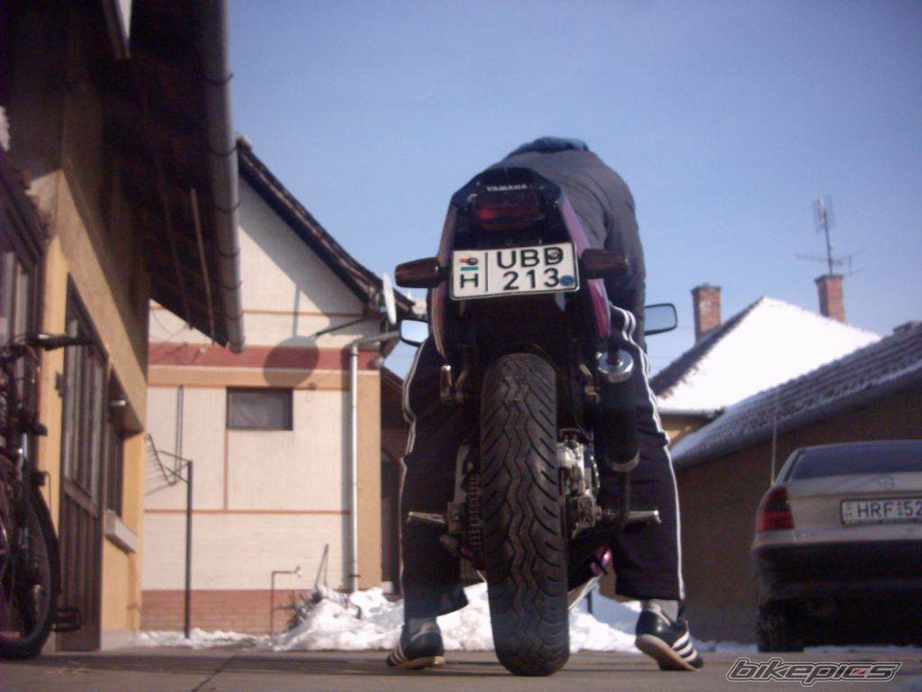 Photo 291663