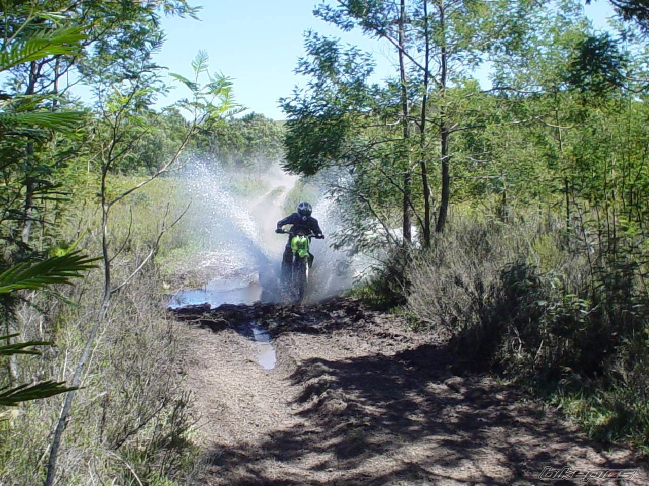Photo 291667