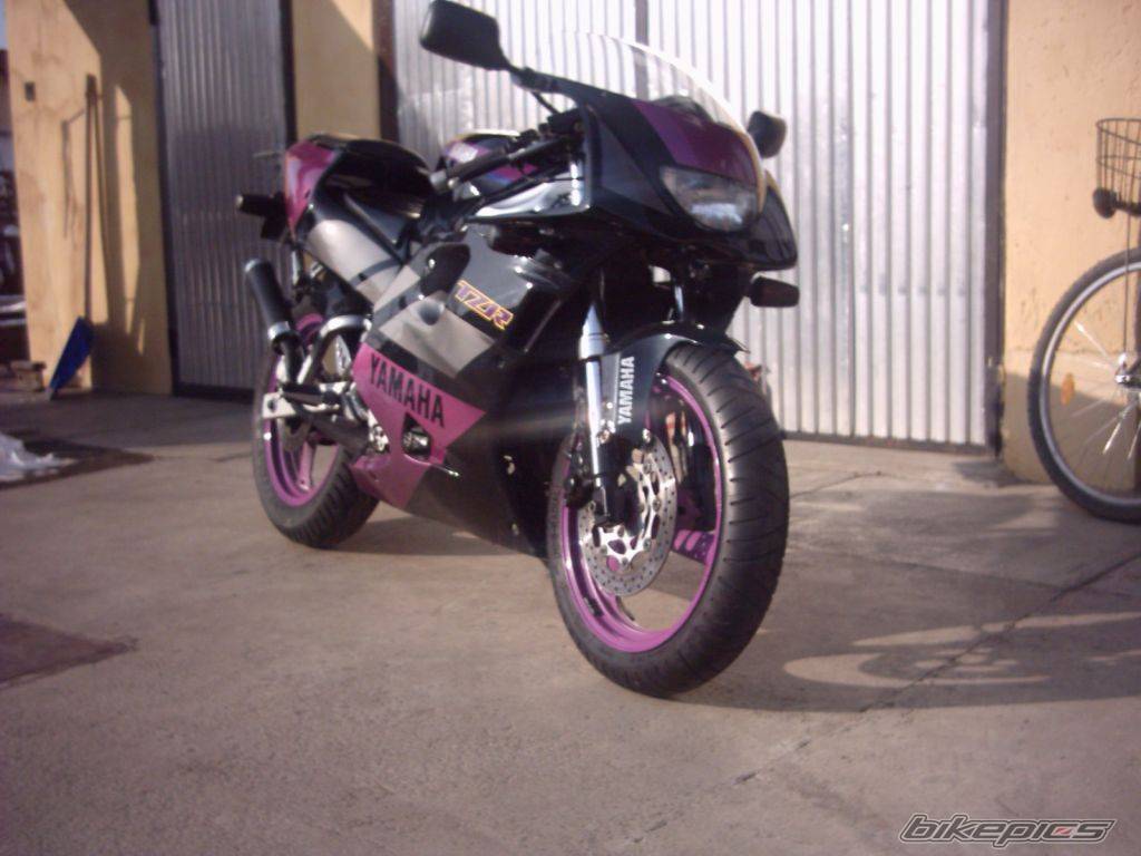 Photo 291672