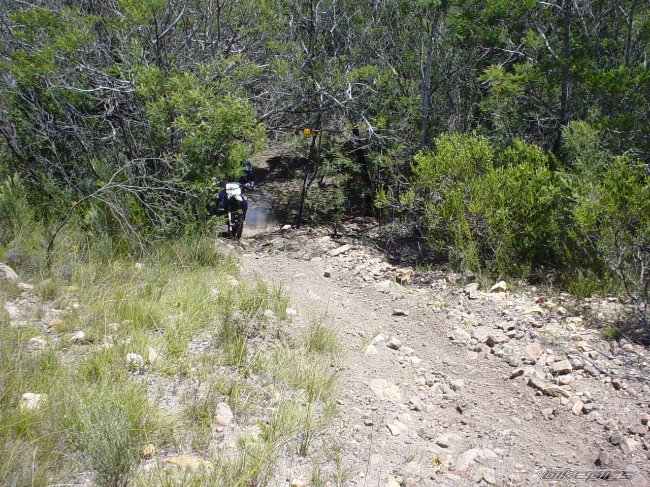 Photo 291675