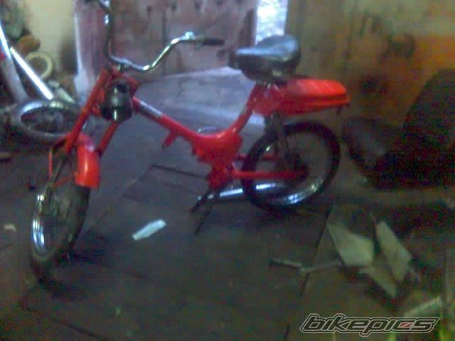 Photo 291691