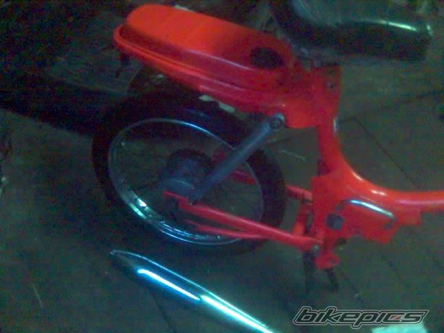 Photo 291693