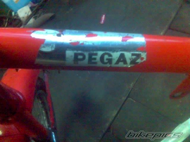 Photo 291694