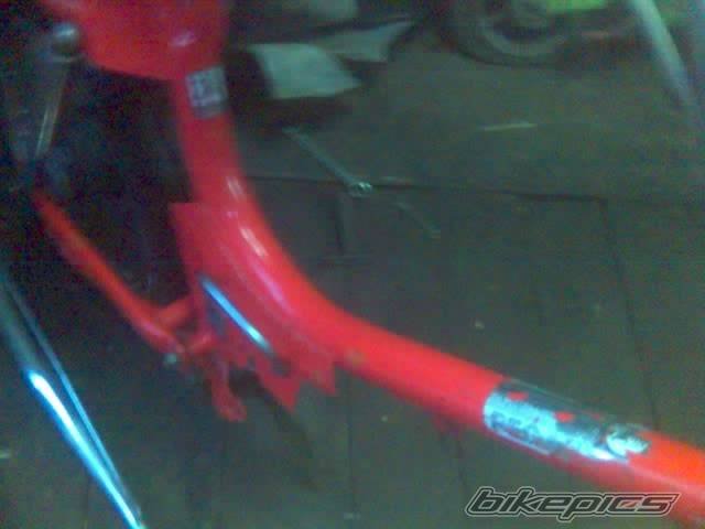Photo 291695