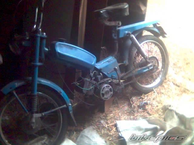 Photo 291697