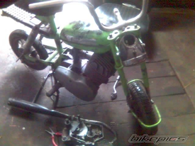 Photo 291713