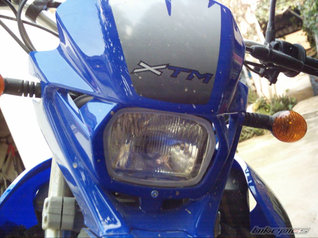 Photo 291718